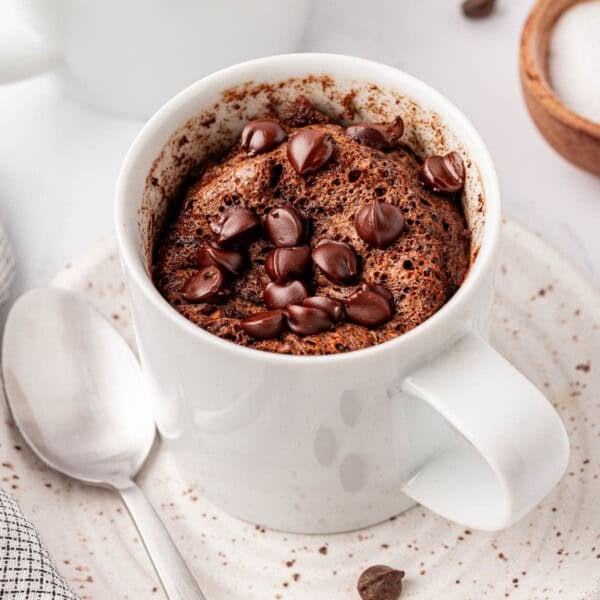 chocolate protein mug cake